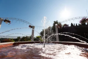 Fantana | AquAngar.ro