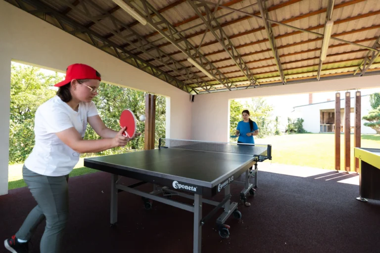 Ping Pong | AquAngar.ro