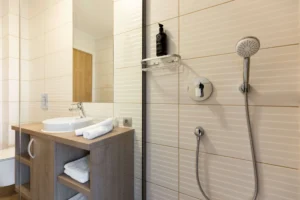 AquAngar Spa & Resort - Camera Matrimoniala